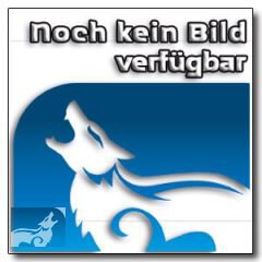 Krieger des Chaos Chaosgeneral auf dämonischem Reittier